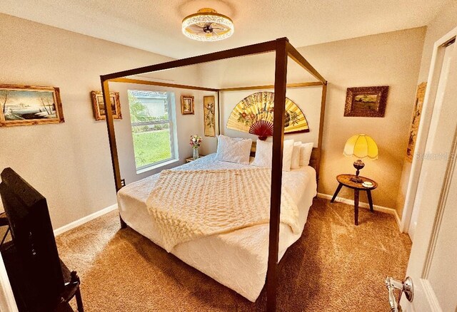 5103 98th Ave E, Parrish, FL 34219 - carpeted bedroom with baseboards and a textured ceiling