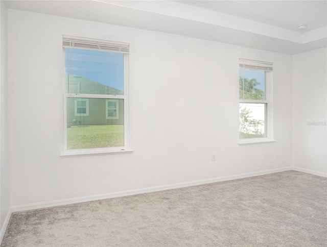 empty room featuring carpet