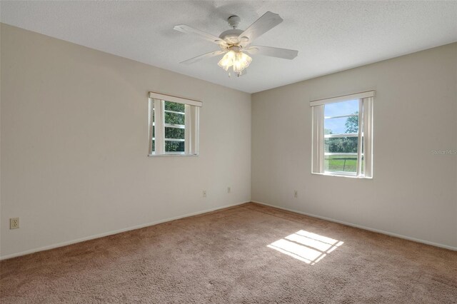 3147 Sydney Dover Rd, Dover, FL 33527 - photo 50