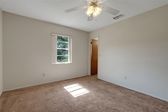 3147 Sydney Dover Rd, Dover, FL 33527 - photo 51