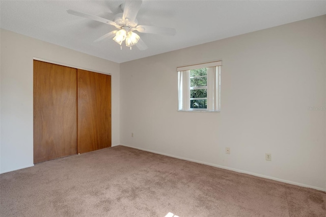 3147 Sydney Dover Rd, Dover, FL 33527 - photo 53