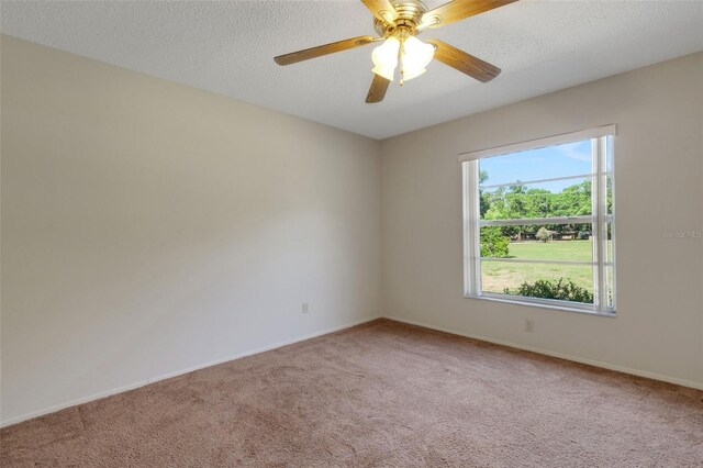 3147 Sydney Dover Rd, Dover, FL 33527 - photo 55