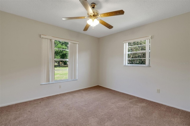 3147 Sydney Dover Rd, Dover, FL 33527 - photo 57