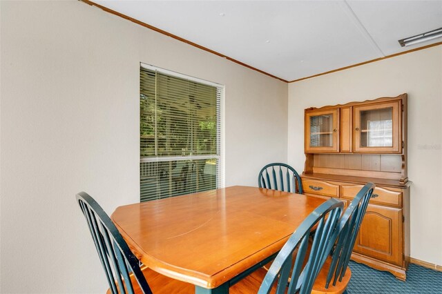 3147 Sydney Dover Rd, Dover, FL 33527 - photo 83