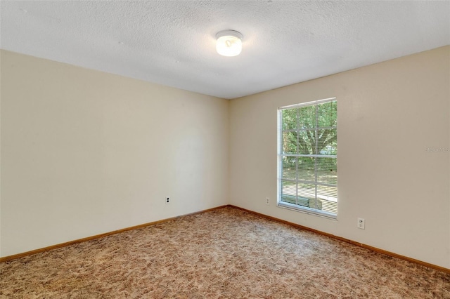 3147 Sydney Dover Rd, Dover, FL 33527 - photo 88