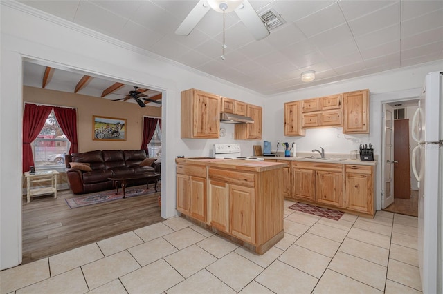 1235 Bass Blvd, Dunedin, FL 34698 - kitchen with a ceiling fan, white appliances, under cabinet range hood, light countertops, and a sink