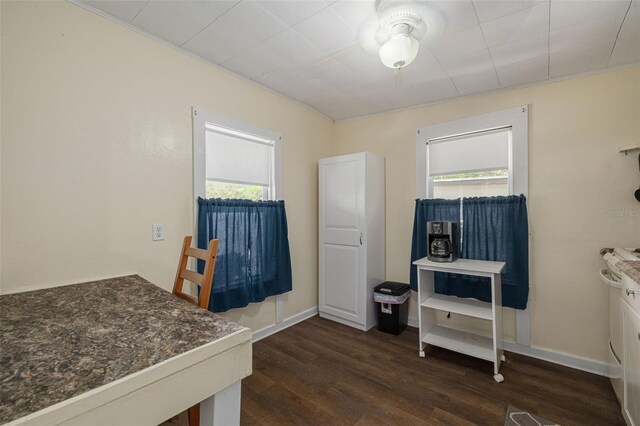 1235 Bass Blvd, Dunedin, FL 34698 - kitchen with plenty of natural light, dark wood finished floors, ceiling fan, and dark countertops