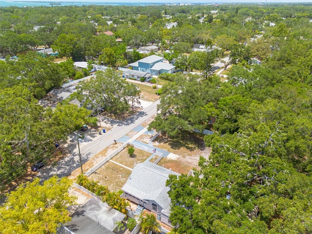 1235 Bass Blvd, Dunedin, FL 34698 - aerial view