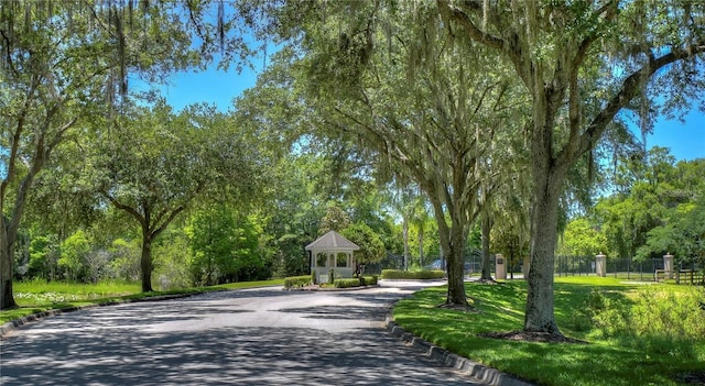 1460 Kensington Woods Dr, Lutz, FL 33549 - surrounding community
