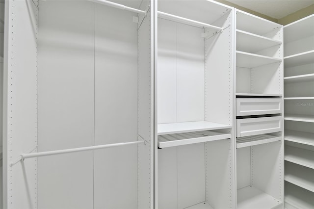 1460 Kensington Woods Dr, Lutz, FL 33549 - view of spacious closet