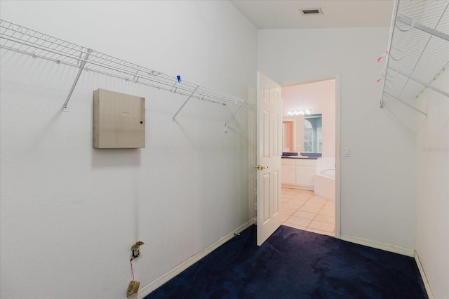 1852 Longview Ln, Tarpon Springs, FL 34689 - spacious closet with carpet and tile patterned floors