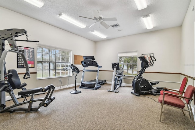 13127 Topflite Ct, Hudson, FL 34669 - workout area featuring a ceiling fan, a textured ceiling, carpet, and baseboards