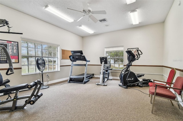 13127 Topflite Ct, Hudson, FL 34669 - exercise room featuring carpet, plenty of natural light, a ceiling fan, a textured ceiling, and baseboards