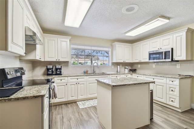 13127 Topflite Ct, Hudson, FL 34669 - kitchen with range with electric stovetop, range hood, stainless steel microwave, a sink, and a textured ceiling