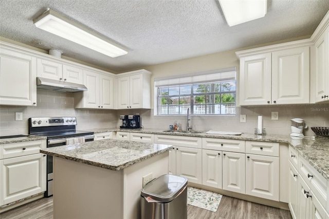 13127 Topflite Ct, Hudson, FL 34669 - kitchen featuring a sink, under cabinet range hood, electric stove, a textured ceiling, and light wood finished floors