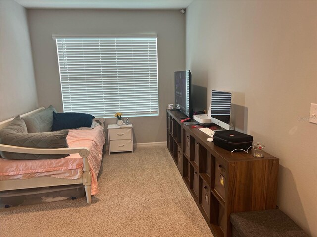 4444 Aqua Mirage St, Sarasota, FL 34238 - bedroom featuring carpet and baseboards