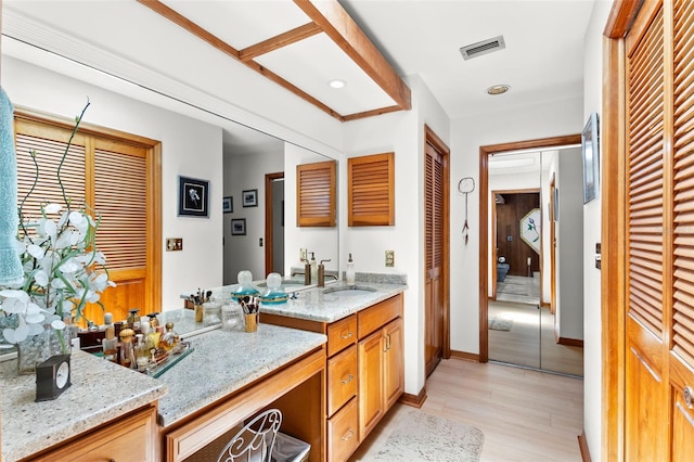 3133 Harvest Moon Dr, Palm Harbor, FL 34683 - bathroom featuring vanity, wood finished floors, and a closet