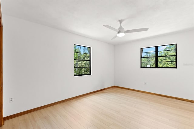 3133 Harvest Moon Dr, Palm Harbor, FL 34683 - unfurnished room with plenty of natural light, light wood-type flooring, and a ceiling fan