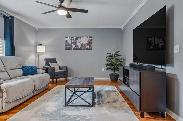 30317 Rattana Ct, Wesley Chapel, FL 33545 - photo 12