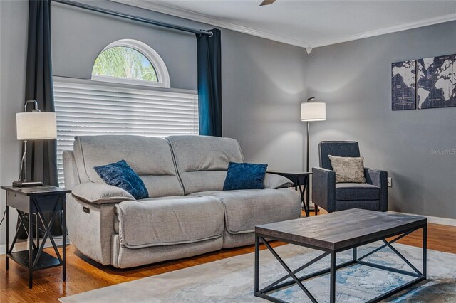 30317 Rattana Ct, Wesley Chapel, FL 33545 - photo 13