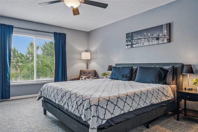 30317 Rattana Ct, Wesley Chapel, FL 33545 - photo 19