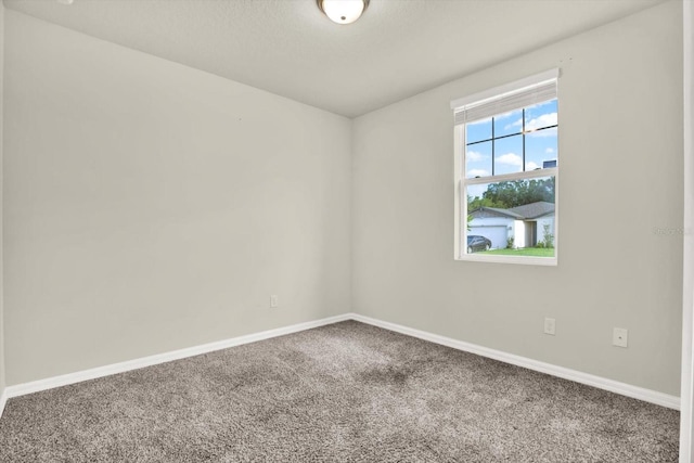 3146 Forrest Plum Ct, Zephyrhills, FL 33540 - spare room featuring carpet and baseboards