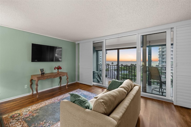 1581 Gulf Blvd Unit 403N, Clearwater Beach, FL 33767 - living room with wood finished floors, a textured ceiling, baseboards, and expansive windows