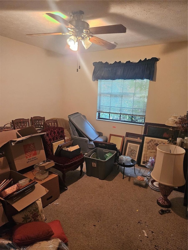 1011 Mallow Way, Brandon, FL 33510 - living area with carpet floors, ceiling fan, and a textured ceiling