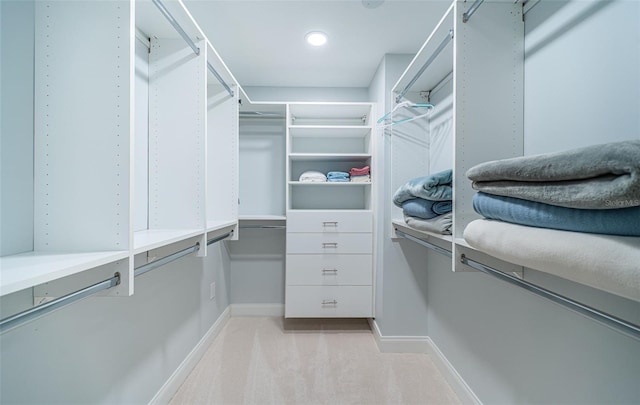 1 Seaside Ln Unit 302, Belleair, FL 33756 - spacious closet featuring light colored carpet