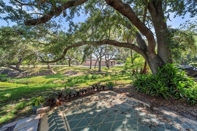 2003 Greenbriar Blvd Unit 1, Clearwater, FL 33763 - view of patio / terrace