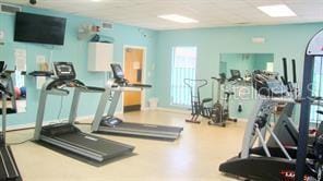 2003 Greenbriar Blvd Unit 1, Clearwater, FL 33763 - workout area featuring plenty of natural light