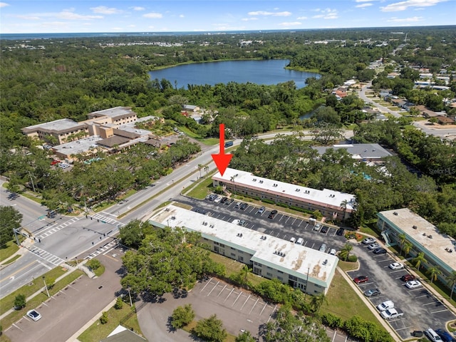 2003 Greenbriar Blvd Unit 1, Clearwater, FL 33763 - aerial view of a large body of water and a heavily wooded area