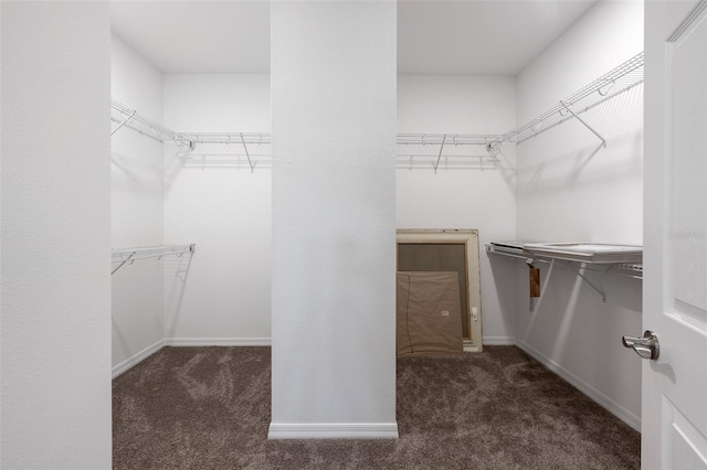 33219 Kateland Dr, Wesley Chapel, FL 33545 - walk in closet with carpet flooring
