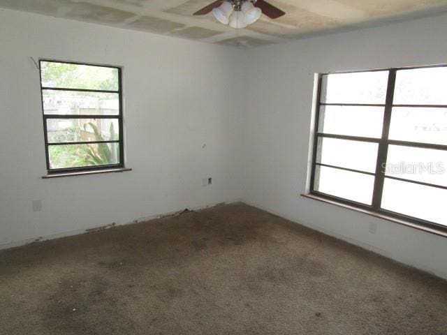 5190 Starling Dr, Mulberry, FL 33860 - spare room with healthy amount of natural light, a ceiling fan, and carpet