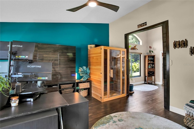 12219 Steppingstone Blvd, Tampa, FL 33635 - office area with wood finished floors, baseboards, a ceiling fan, and vaulted ceiling
