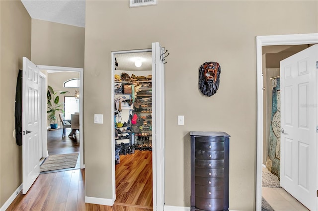 12219 Steppingstone Blvd, Tampa, FL 33635 - corridor featuring light wood finished floors, a textured ceiling, and baseboards