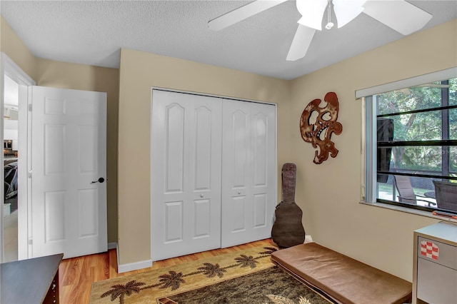 12219 Steppingstone Blvd, Tampa, FL 33635 - home office with light wood-style flooring, ceiling fan, and a textured ceiling