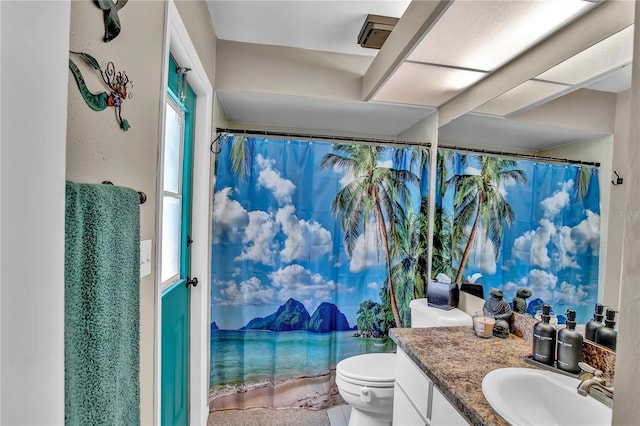 12219 Steppingstone Blvd, Tampa, FL 33635 - bathroom with vanity, toilet, and curtained shower