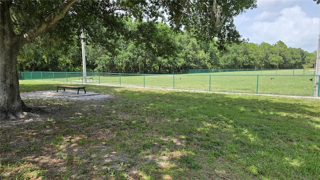 12219 Steppingstone Blvd, Tampa, FL 33635 - view of yard