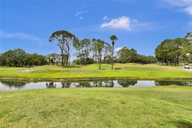 12219 Steppingstone Blvd, Tampa, FL 33635 - water view