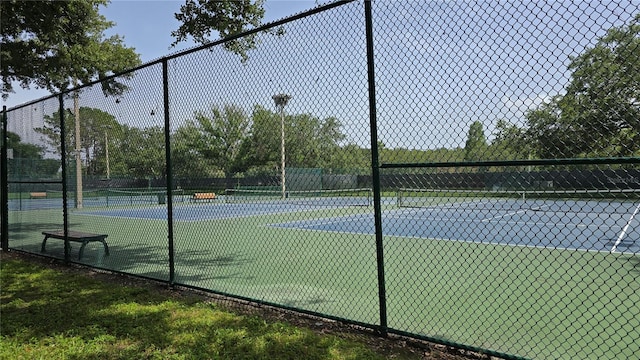 12219 Steppingstone Blvd, Tampa, FL 33635 - view of tennis court