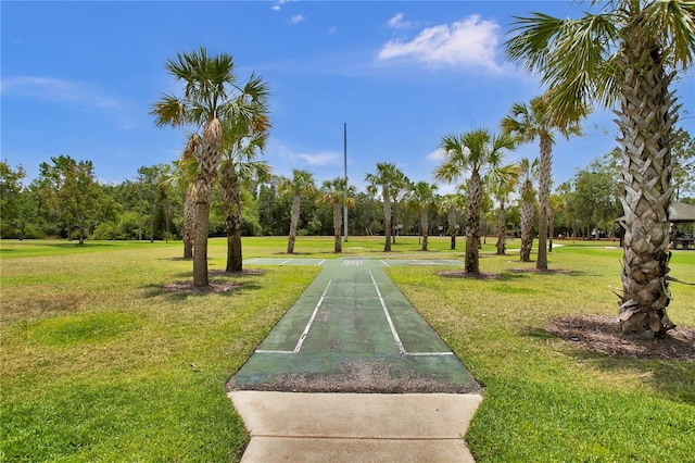 12219 Steppingstone Blvd, Tampa, FL 33635 - view of community featuring shuffleboard and a yard