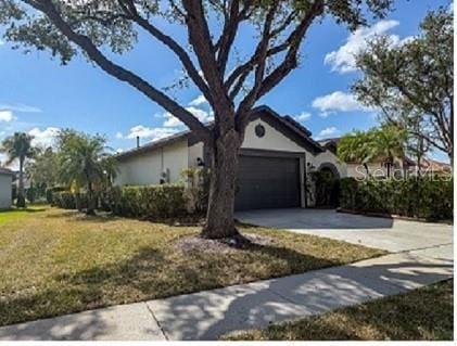 1716 Bondurant Way, Brandon, FL 33511 - view of side of property with concrete driveway, a garage, a yard, and stucco siding