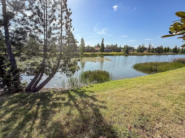 1716 Bondurant Way, Brandon, FL 33511 - water view