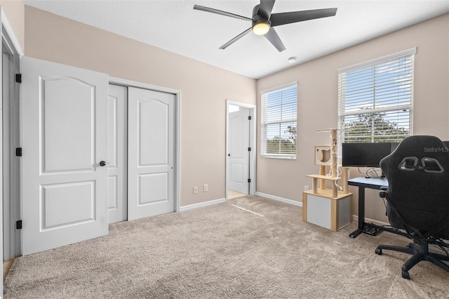 962 Sombra St, Tampa, FL 33619 - photo 20