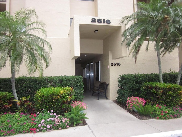 2616 Cove Cay Dr Unit 104, Clearwater, FL 33760 - doorway to property with stucco siding