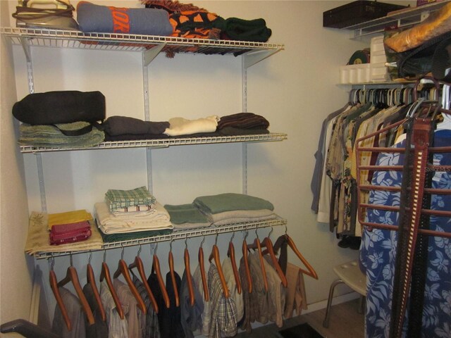 2616 Cove Cay Dr Unit 104, Clearwater, FL 33760 - view of walk in closet