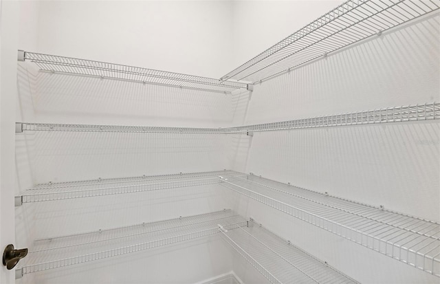 8323 SW 58th Loop, Ocala, FL 34481 - view of pantry