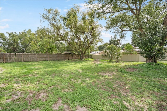 5319 Lantana St, Zephyrhills, FL 33542 - view of yard