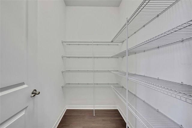 1821 Cherry Walk Rd, Lutz, FL 33558 - view of pantry